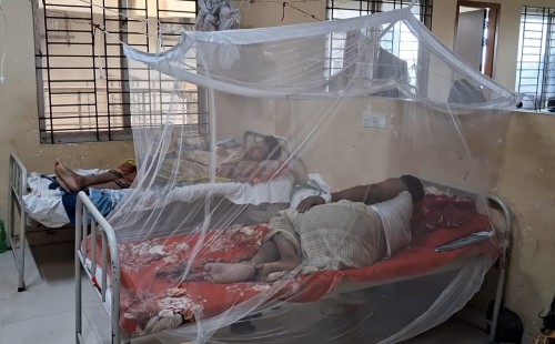 ফেনীতে ডেঙ্গু আক্রান্তের সংখ্যা হাজার ছাড়ালো