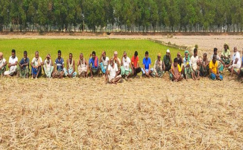 বোরো মাঠে সেচ সংকট  আমজাদহাটে কৃষকদের বিক্ষোভ