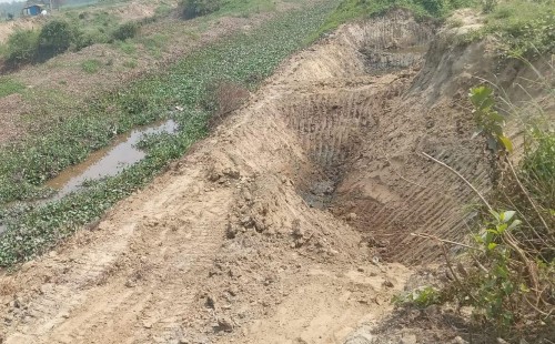 চৌদ্দগ্রামে ইটভাটার পেটে কানাইল নদীর পাড় ও ফসলি জমির মাটি, নিশ্চুপ প্রশাসন