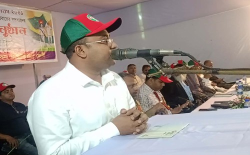 দাগনভূঞায় স্বাধীনতা দিবস পালিত