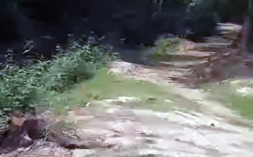 দু,যুগেও সংস্কার হয়নি   ফেনী পৌর সভার দারুস সালাম রোড!