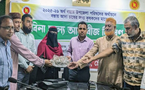 চৌদ্দগ্রামে কৃষক-কৃষাণীদের মাঝে বিনামূল্যে আদার বীজ বিতরণ